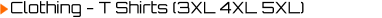 Clothing - T Shirts (3XL 4XL 5XL)